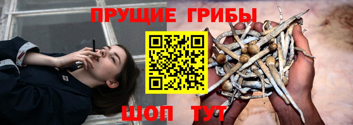 Псилоцибиновые грибы Magic Shrooms Моздок