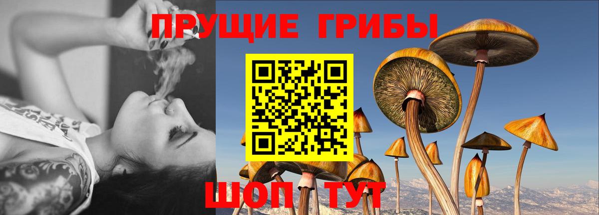 Псилоцибиновые грибы ЛСД  Вход с VPN  Моздок 